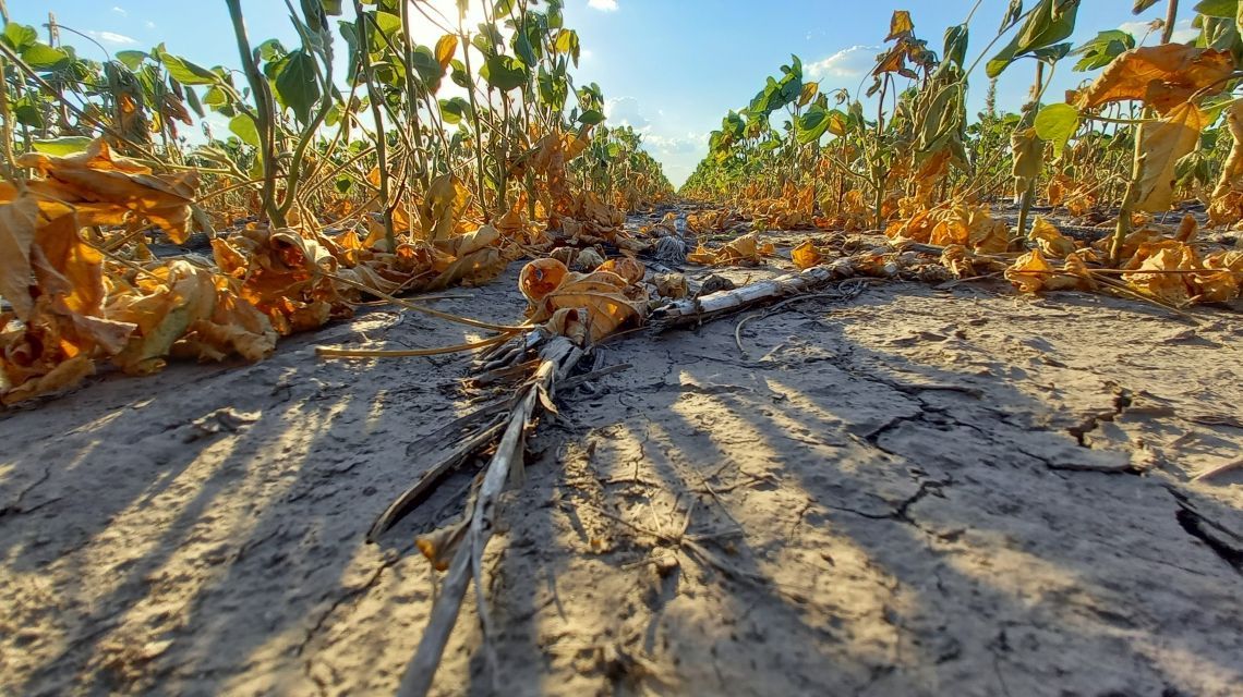 Nación Homologó la Emergencia Agropecuaria para Santa Fe