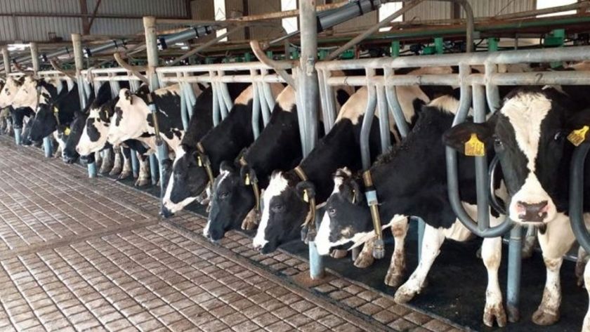 Análisis Situación lechera 2025