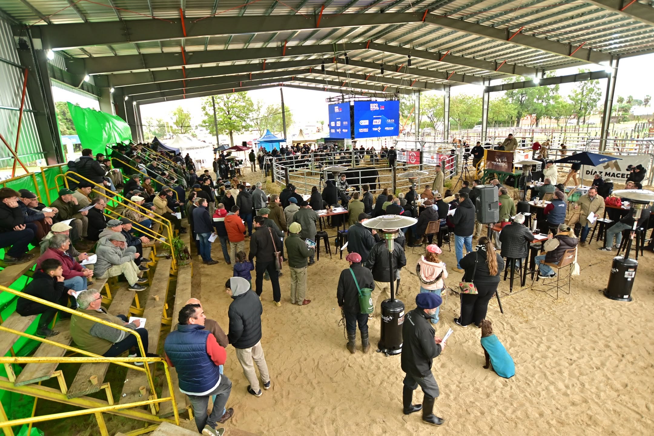 Con el gran protagonismo de la Ganadería, San Justo celebró su 82º Expo Rural