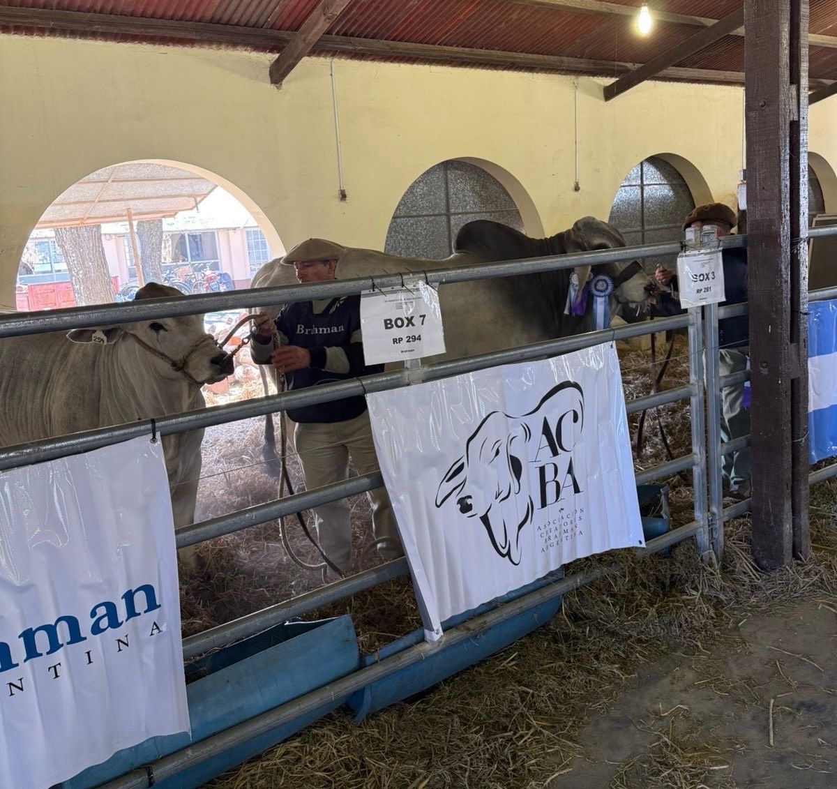 Expo Total 2025: Una tradición en San Cristóbal 