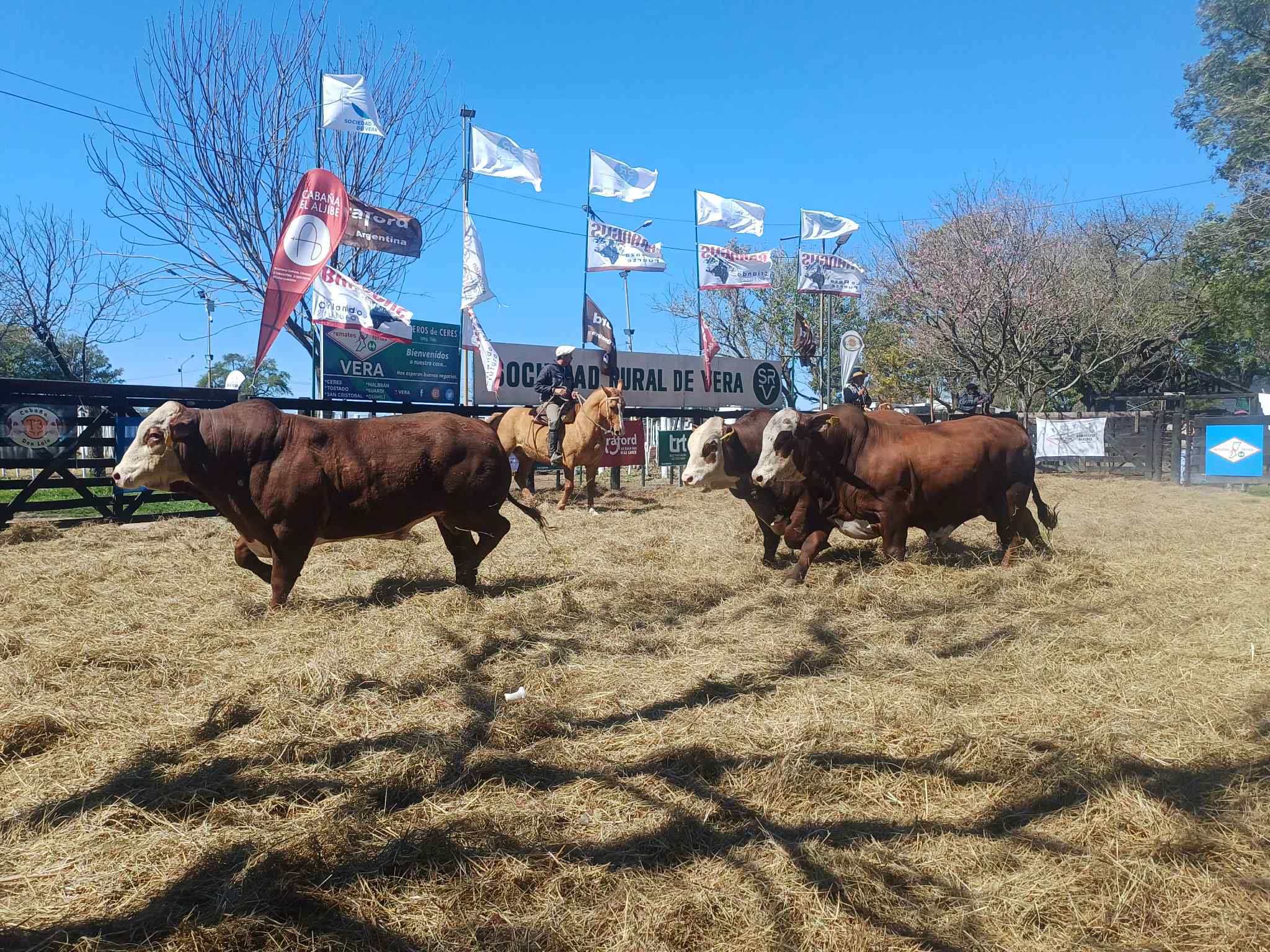 Exposición y aniversario en la Rural de Vera