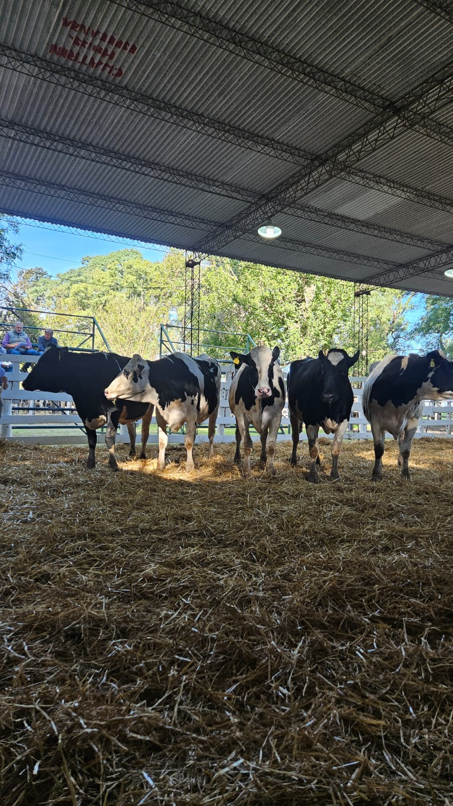 "Vidriera Genética" en Esperanza