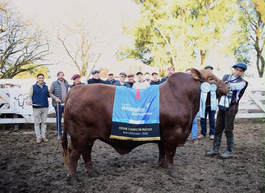 Expo Total 2026: Éxito rotundo en la gran cita del campo en San Cristóbal