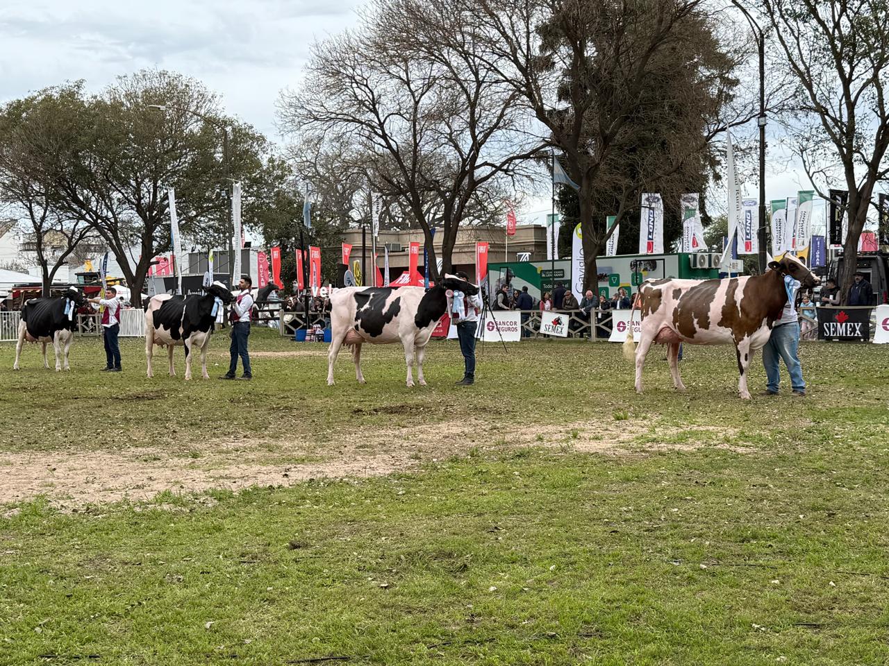119º Exposición Rural de Rafaela: Gran convocatoria y fuerte impronta lechera