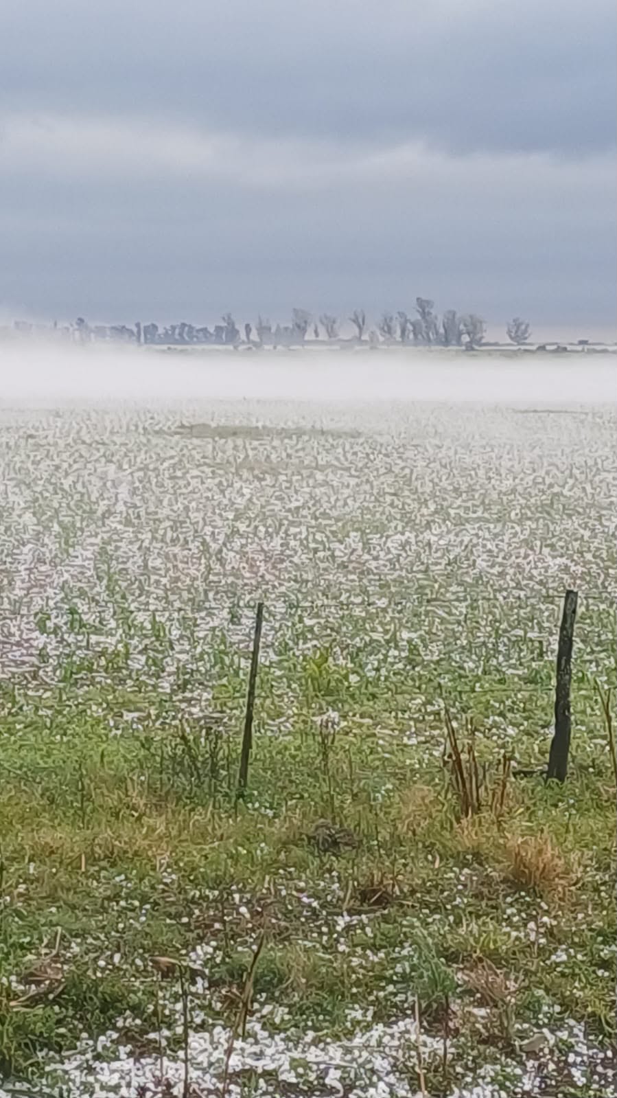 CARSFE acompaña a los productores afectados por el temporal