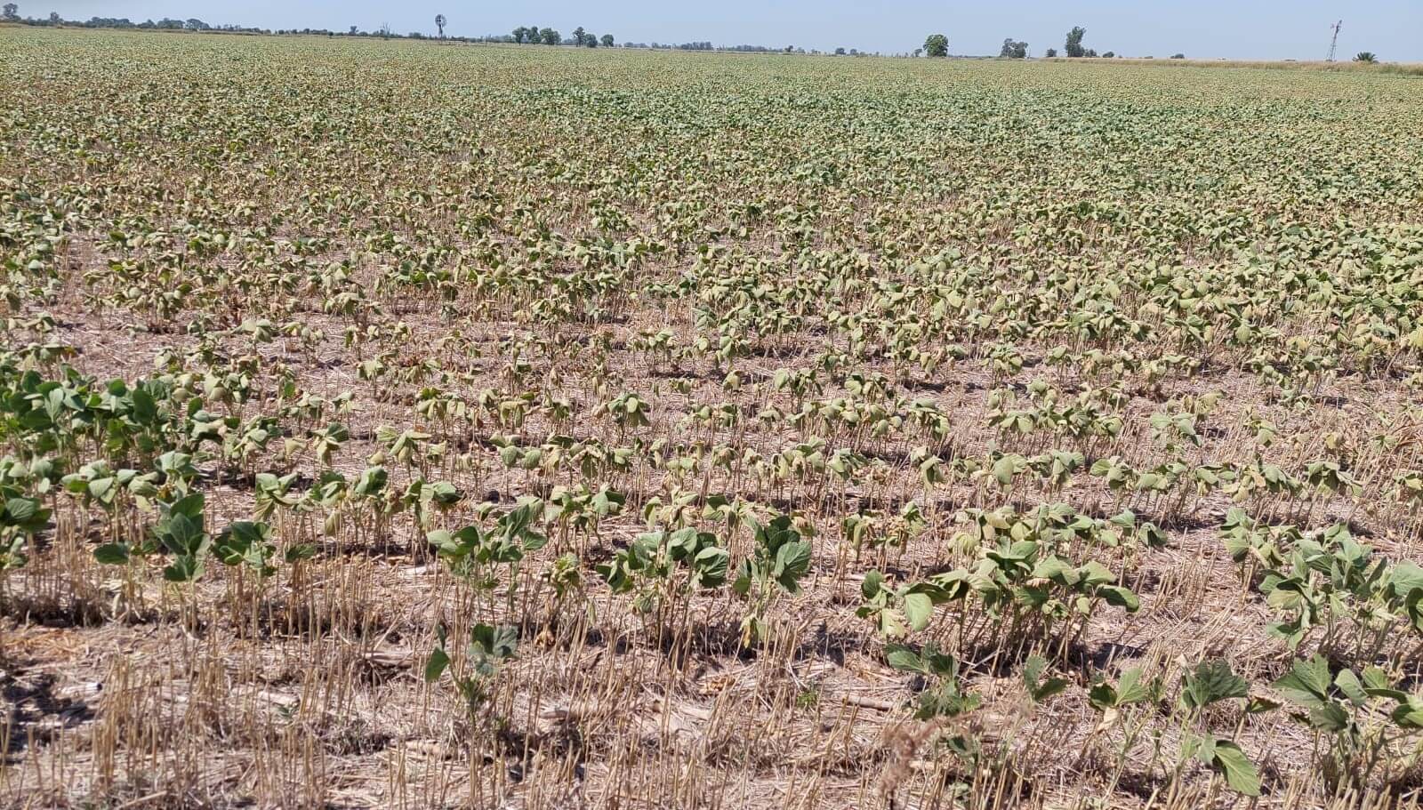 Nueva Reunión de la Mesa de Enlace Provincial